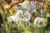 رخيصة 1000 قطعة Jigsaw Puzzle الشركة المصنعة مخصصة ألعاب اللغز الكبار مع Color Box